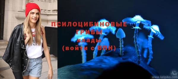 меф Ельня