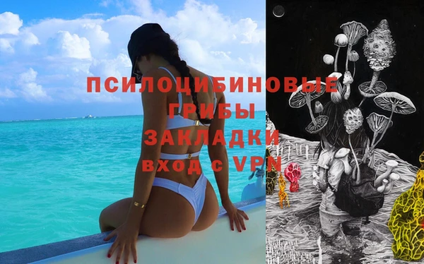 каннабис Елизово