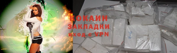 меф Ельня
