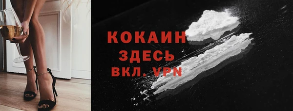 меф Ельня
