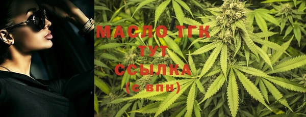 меф Ельня