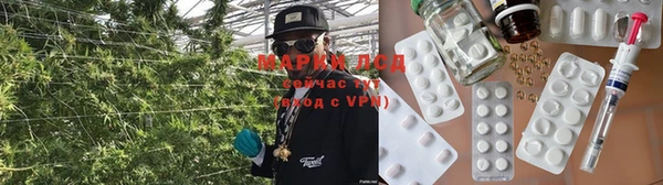 меф Ельня