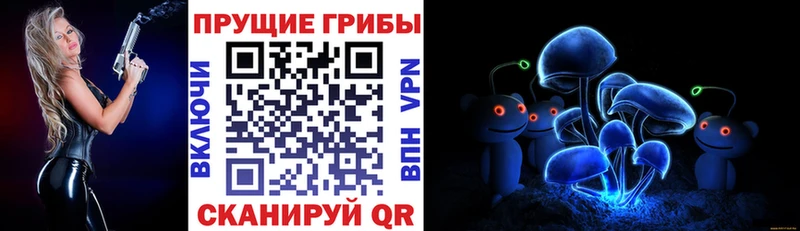 Купить где  Чистополь  Псилоцибиновые грибы Psilocybe 